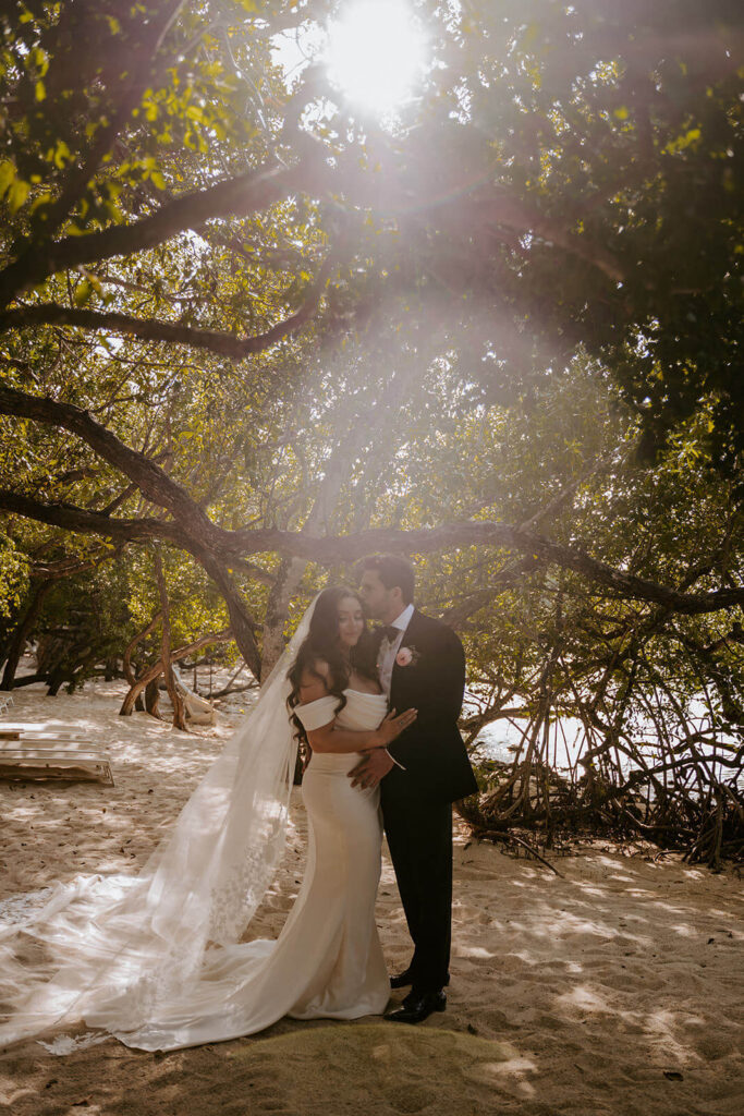 a couple poses for their wedding portraits surrounded by mangroves during their winter wedding
